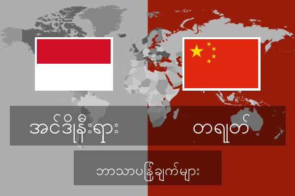  တရုတ် ဘာသာပြန်ချက်များ