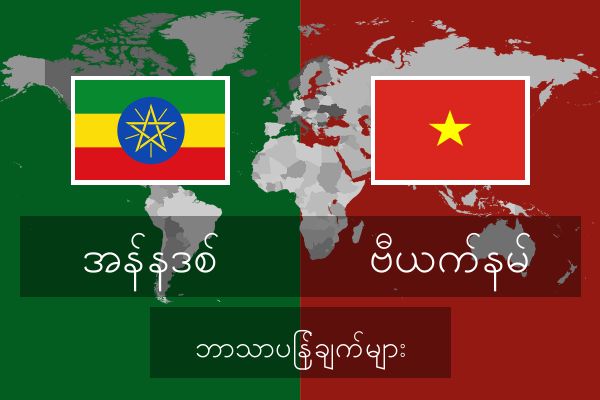  ဗီယက်နမ် ဘာသာပြန်ချက်များ