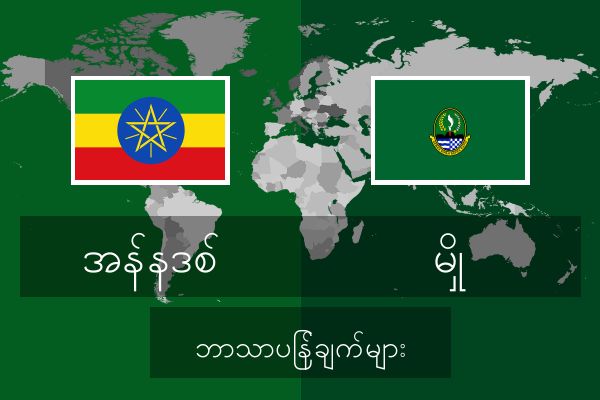 မှို ဘာသာပြန်ချက်များ