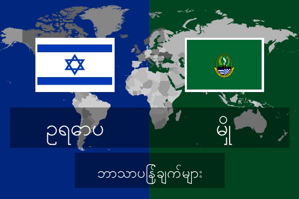  မှို ဘာသာပြန်ချက်များ