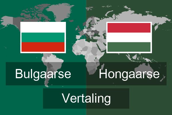  Hongaarse Vertaling