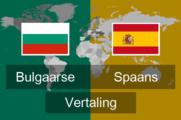  Spaans Vertaling