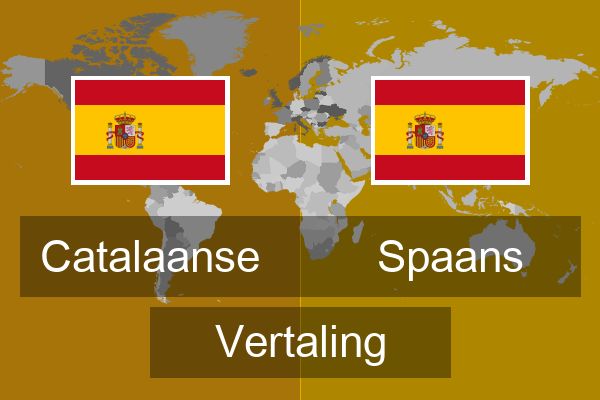  Spaans Vertaling