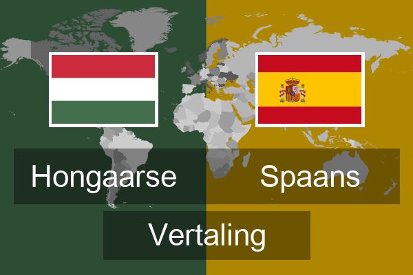  Spaans Vertaling