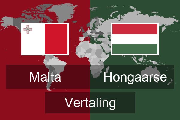  Hongaarse Vertaling