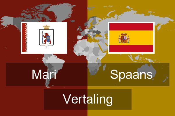  Spaans Vertaling