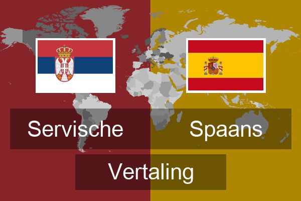  Spaans Vertaling