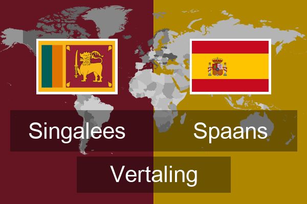  Spaans Vertaling