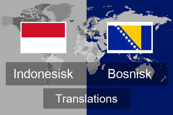  Bosnisk Translations