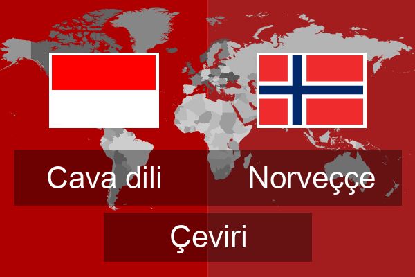  Norveççe Çeviri