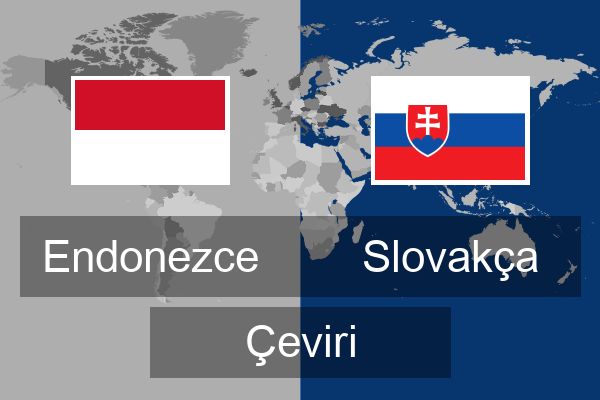  Slovakça Çeviri