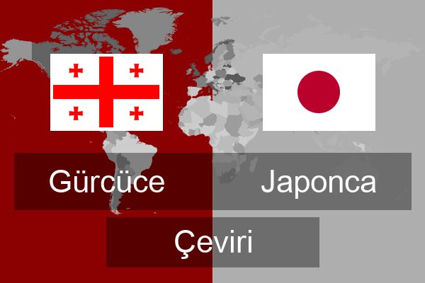  Japonca Çeviri