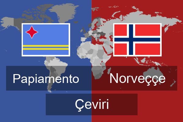  Norveççe Çeviri