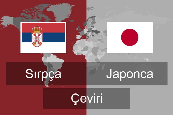  Japonca Çeviri