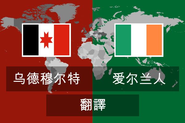  爱尔兰人 翻譯