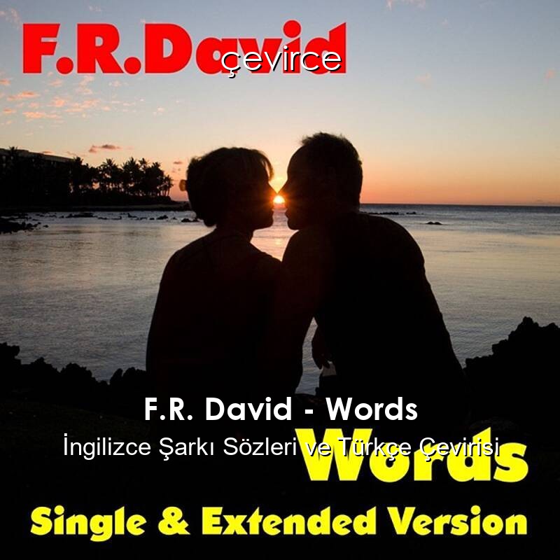 F.R. David – Words İngilizce Şarkı Sözleri ve Türkçe Çevirisi