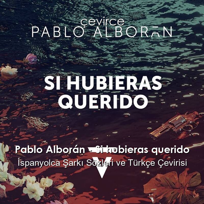Pablo Alborán – Si hubieras querido İspanyolca Sözleri Türkçe Anlamları