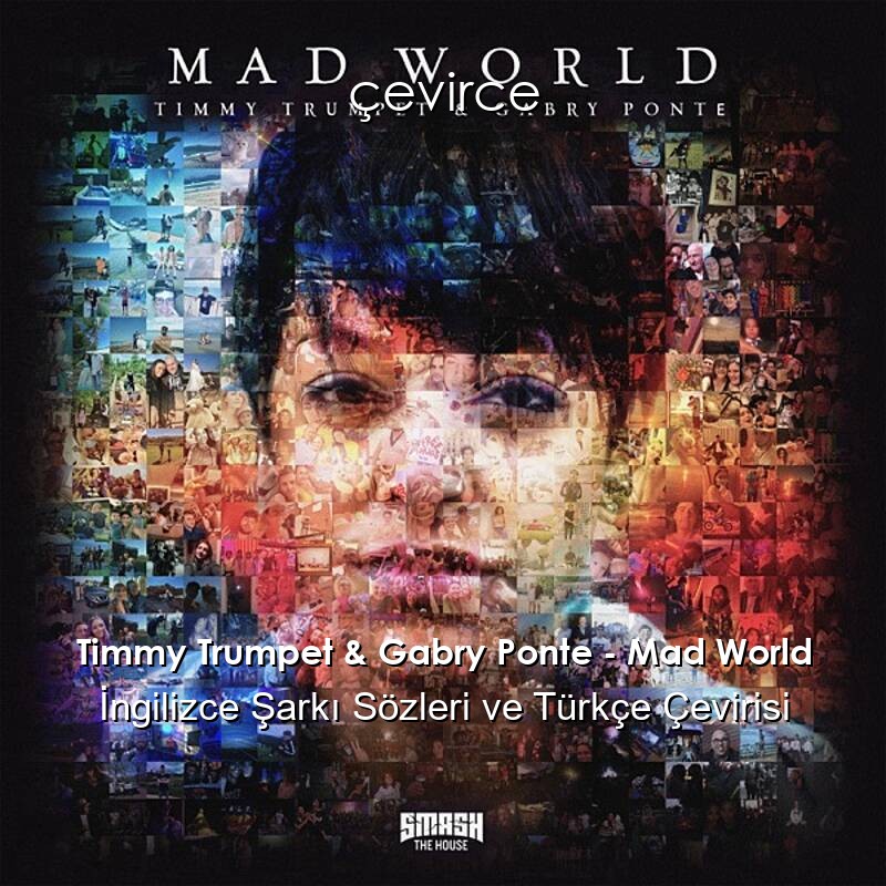 Timmy Trumpet & Gabry Ponte – Mad World İngilizce Sözleri Türkçe Anlamları