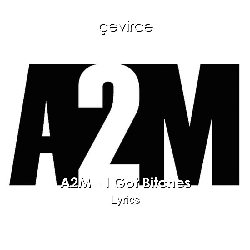 A2M – I Got Bitches Lyrics