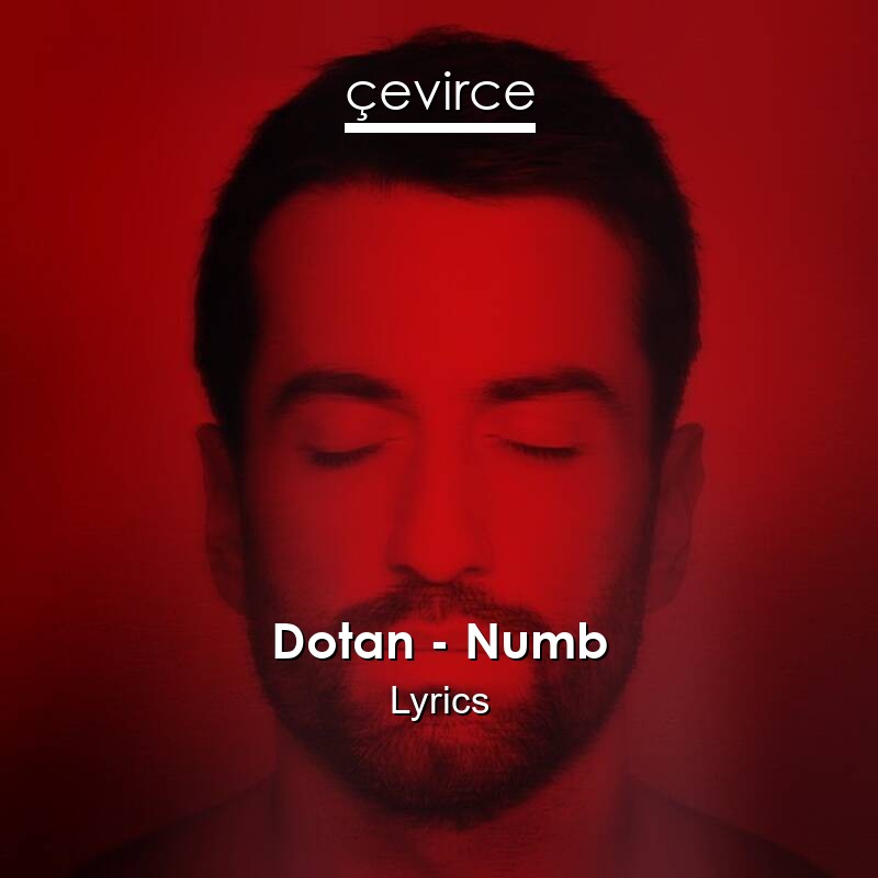 Dotan – Numb Lyrics