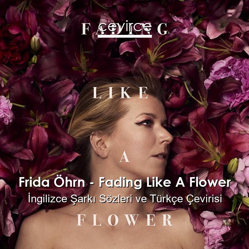 Frida Öhrn – Fading Like A Flower İngilizce Sözleri Türkçe Anlamları