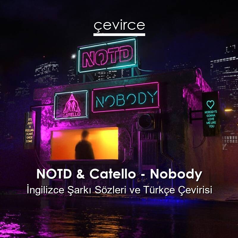 NOTD & Catello – Nobody İngilizce Sözleri Türkçe Anlamları