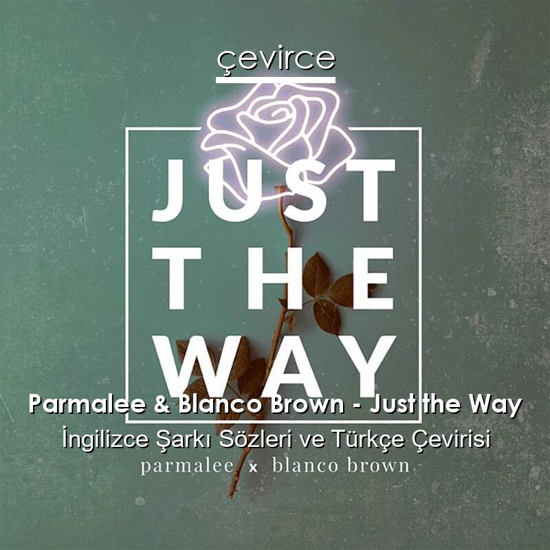 Parmalee & Blanco Brown – Just the Way İngilizce Sözleri Türkçe Anlamları