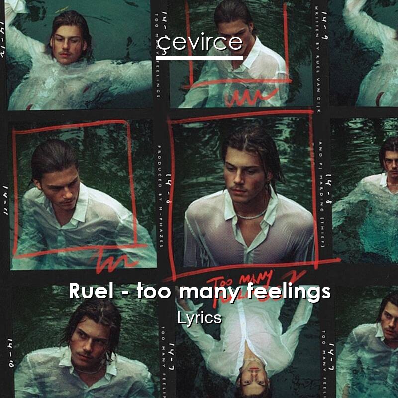 Ruel – too many feelings Lyrics