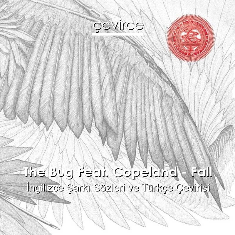 The Bug Feat. Copeland – Fall İngilizce Sözleri Türkçe Anlamları