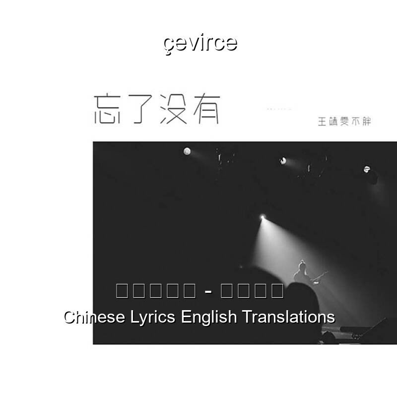 王靖雯不胖 – 忘了没有 Chinese Lyrics English Translations