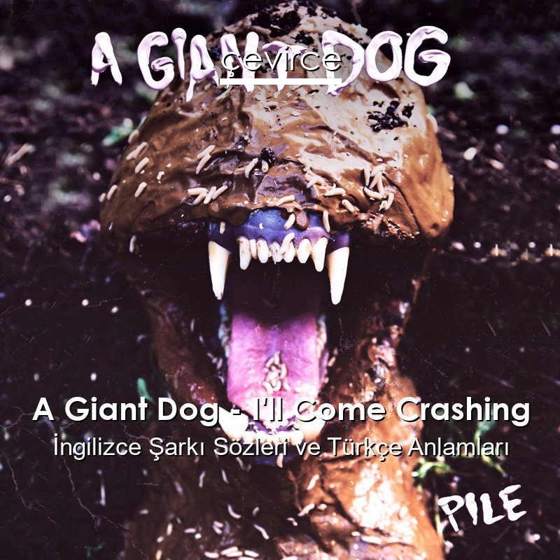 A Giant Dog – I’ll Come Crashing İngilizce Sözleri Türkçe Anlamları