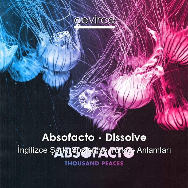 Absofacto – Dissolve İngilizce Sözleri Türkçe Anlamları