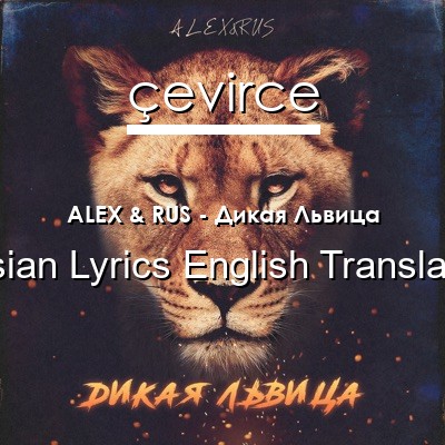 ALEX & RUS – Дикая Львица Russian Lyrics English Translations