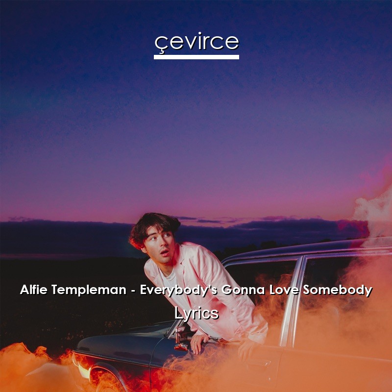 Alfie Templeman – Everybody’s Gonna Love Somebody Lyrics