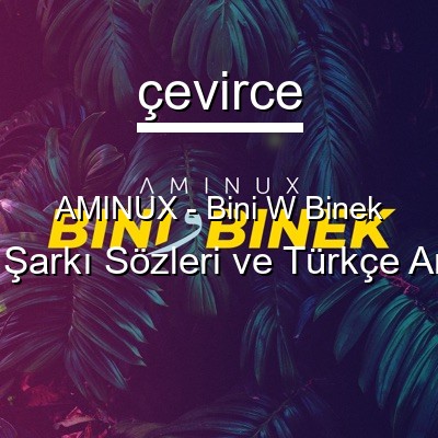 AMINUX – Bini W Binek Arapça Sözleri Türkçe Anlamları