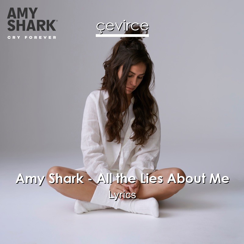 Amy Shark – All the Lies About Me Lyrics