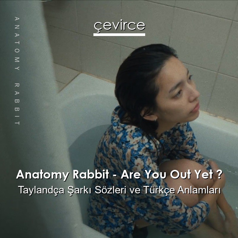 Anatomy Rabbit – Are You Out Yet ? Taylandça Sözleri Türkçe Anlamları