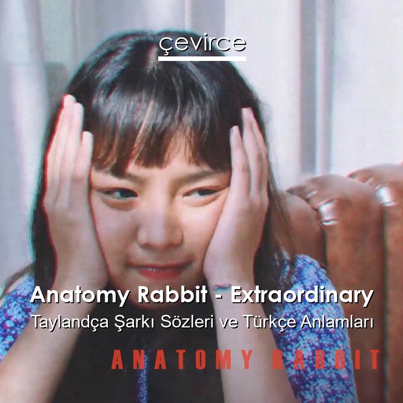 Anatomy Rabbit – Extraordinary Taylandça Sözleri Türkçe Anlamları