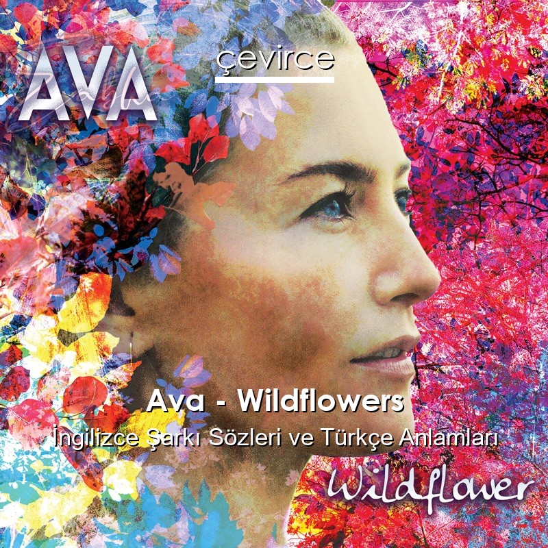 Ava – Wildflowers İngilizce Sözleri Türkçe Anlamları