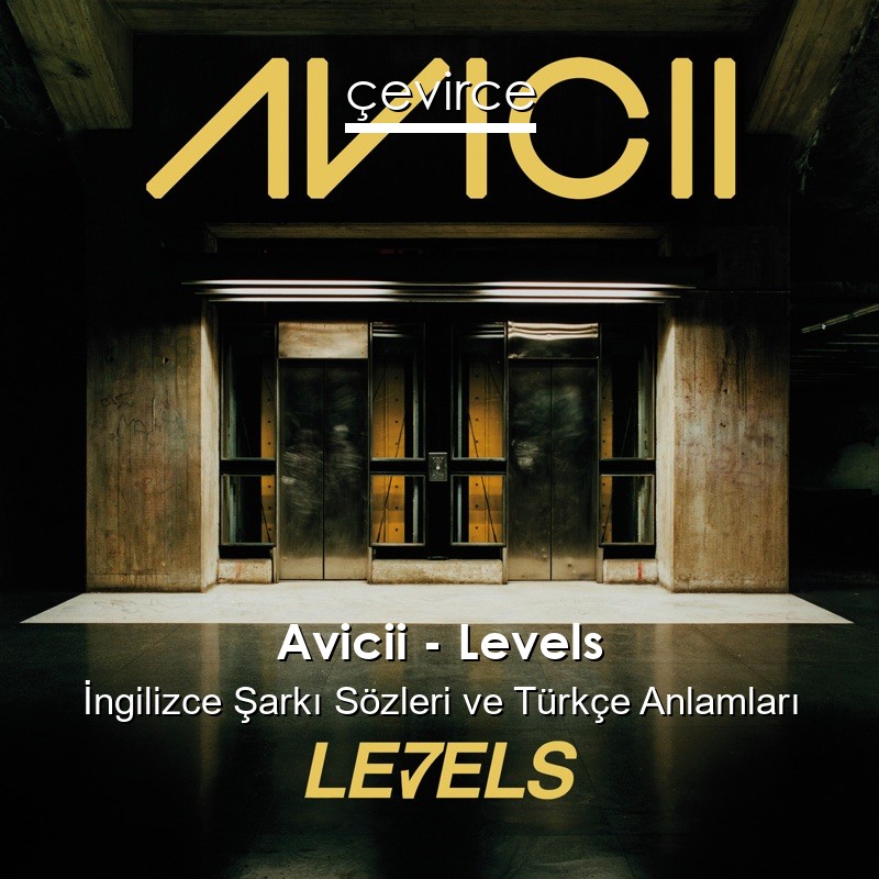 Avicii – Levels İngilizce Sözleri Türkçe Anlamları