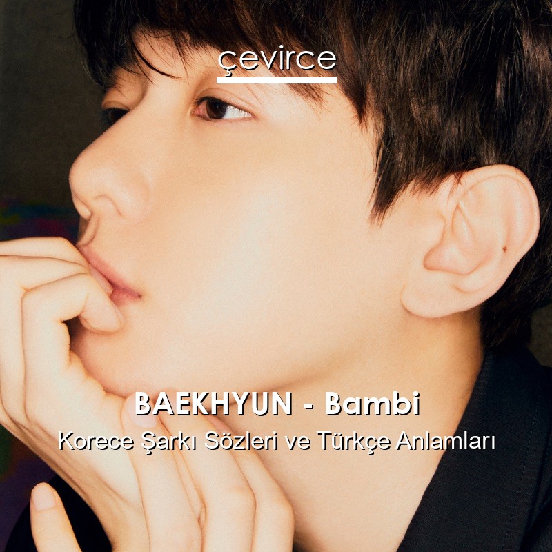 BAEKHYUN – Bambi Korece Sözleri Türkçe Anlamları