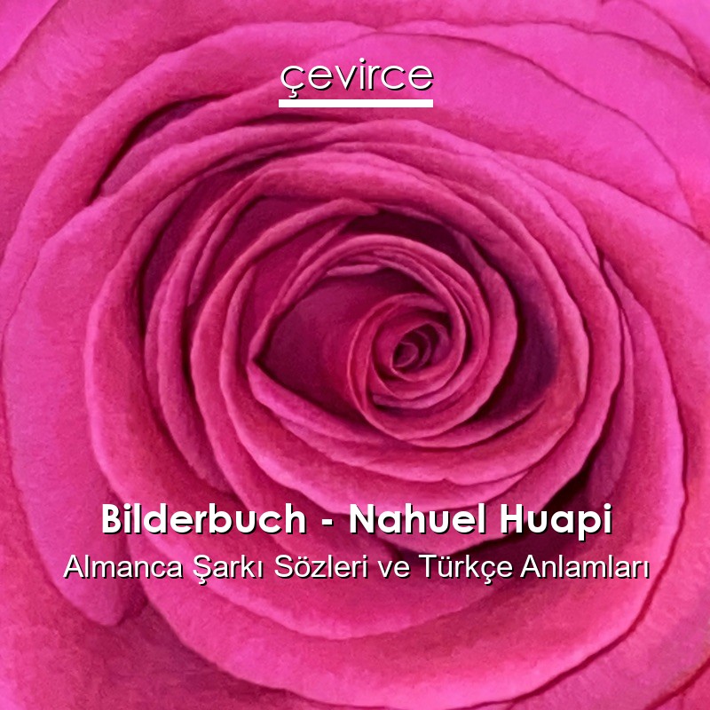 Bilderbuch – Nahuel Huapi Almanca Sözleri Türkçe Anlamları