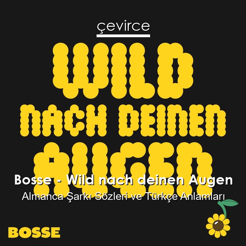 Bosse – Wild nach deinen Augen Almanca Sözleri Türkçe Anlamları