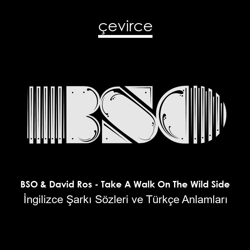 BSO & David Ros – Take A Walk On The Wild Side İngilizce Sözleri Türkçe Anlamları