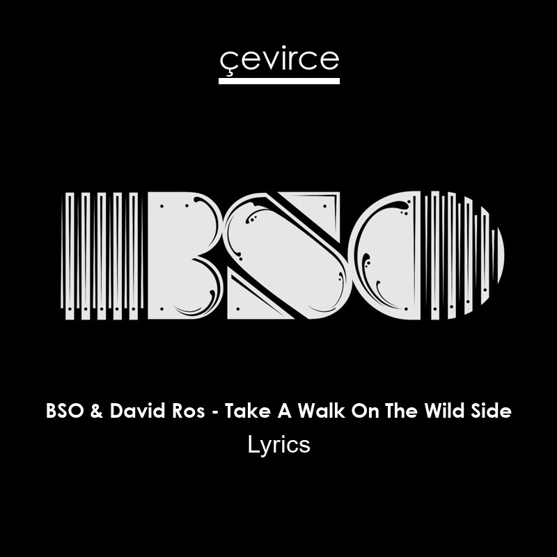 BSO & David Ros – Take A Walk On The Wild Side Lyrics