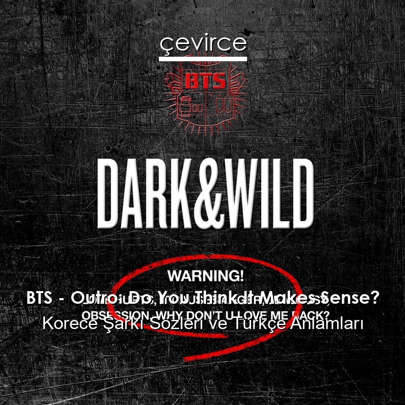 BTS – Outro: Do You Think It Makes Sense? Korece Sözleri Türkçe Anlamları