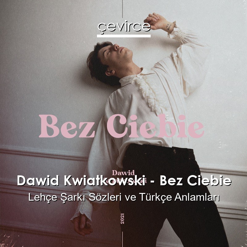 Dawid Kwiatkowski – Bez Ciebie Lehçe Sözleri Türkçe Anlamları