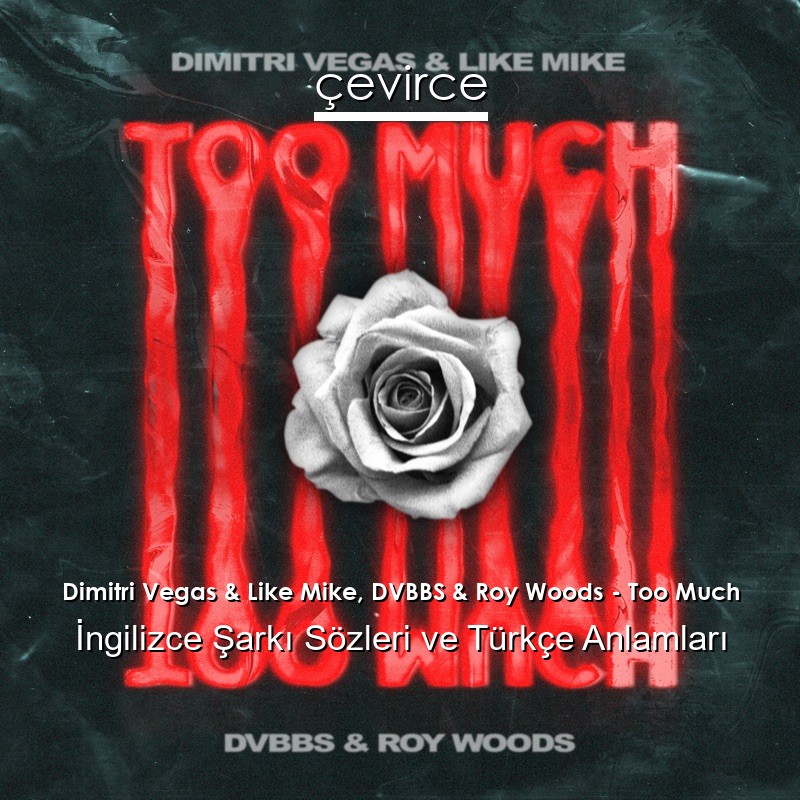 Dimitri Vegas & Like Mike, DVBBS & Roy Woods – Too Much İngilizce Sözleri Türkçe Anlamları