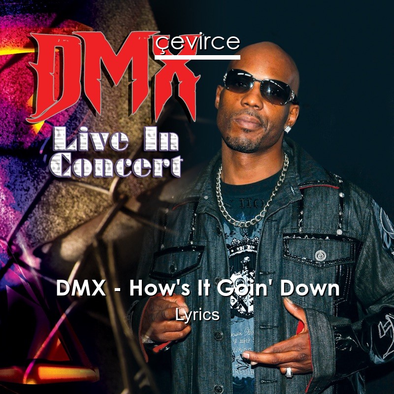 DMX – How’s It Goin’ Down Lyrics