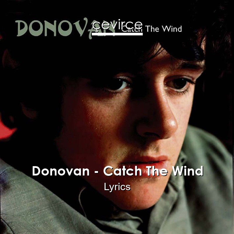 Donovan – Catch The Wind Lyrics